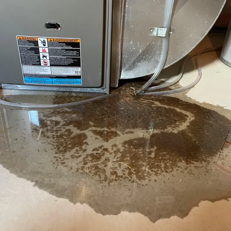 Appliance Leak Cleanup in South Daytona, FL